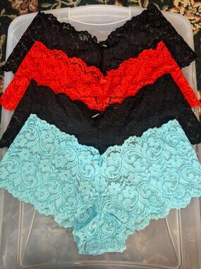 FOUR brand new Smart&Sexy Signature Lace Cheeky Panty panties SIZE 6 MEDIUM